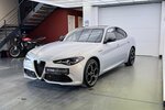 Alfa Romeo Giulia 2.0 Competizione Q4 Turbo Panoramadach 17.100 km 38.460 &euro; Lich 35423