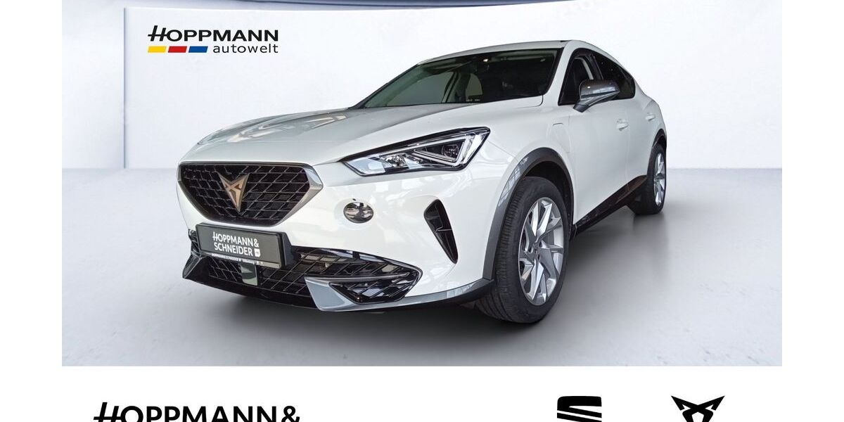 Cupra Formentor 29.120 km 24.490 &euro; Dillenburg 35683